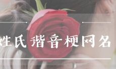 探究有趣的姓氏谐音所构成的搞怪网名，别开生面的网络个性化体现