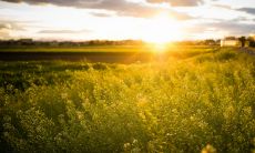 纵观大自然的美景之中，令人陶醉的唯美景色与优美诗句如何搭配？