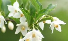 欢欣鼓舞的高质量语句，让你的表达更显高端大气！