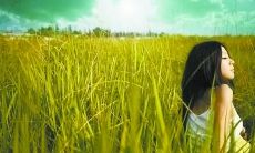 鼓舞人心的自我激励语句，让你时刻保持积极、自信、乐观的状态！