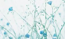 如果你无法容纳一个人的存在，你就会感受到沉重的心情和负面情绪的骚扰