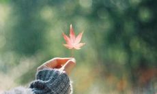 2022年春分节气的经典说说大全：感受春天的到来、分享新生活的心情和体验