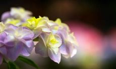 结婚带来的不幸因素导致心情低落的表达方式