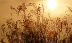 探讨感受深刻、令人动容的失望兄弟的表达方式及其可能的原因