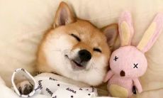 一些逗女孩子开心的让她们开怀大笑的有趣幽默语句