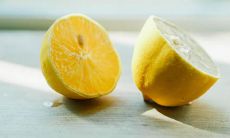 感恩亲情与孝道：赞美家庭中最伟大的品质