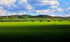 夏季假期短信问候：愿你在放松休闲的同时获得喜悦与满足