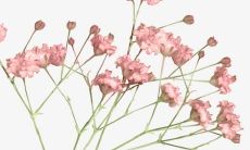 用语言证明自己心情愉快的表述