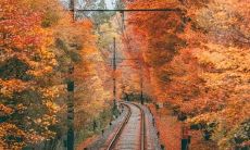 通过手机短信一键批量发送秋季问候，让你的朋友和家人感受如同亲自问候般的温暖感受！