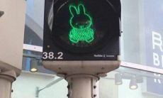 让你信心倍增、奋发向上的高中生励志语录推荐