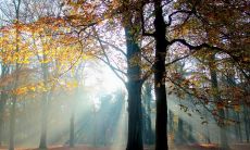 强化关系、传达感情、贴近生活：用短信发出你的季节祝福吧！