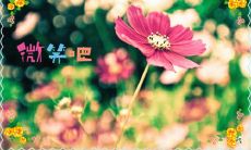 24句清明节上坟的心情说说在朋友圈里分享