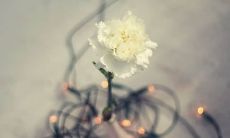 用经典名言和警句来形容美丽的春天