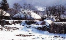 在寒冷的天气中送上温暖问候文字信息，提醒你们多加衣服保暖！