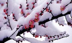 在寒冷的冬季，向你发送专属的美容问候短信！