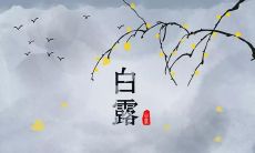 如何在白露节发送最有创意的问候短信？