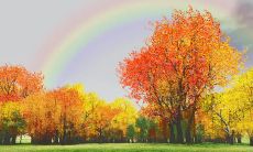 秋季周末向客户传递问候之心短信，表达关怀与感恩之情