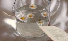 短而有力的高情商朋友圈短句推荐，让你成为社交领袖！