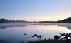 沿着河岸步行，领略宜人的自然风景和清新的气息的描述句子