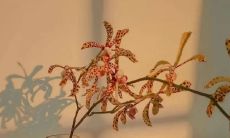 一堆浪漫的、心醉神迷的超级美丽的爱情句子