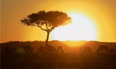 语录，让你一秒钟找到内心的力量和智慧，超越困境，实现梦想！