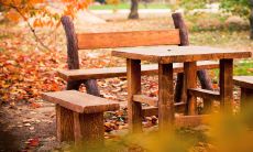 2015年度最优美精选句子盘点：赏析最佳句式、诗意文字，拓展文学视界！