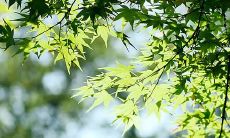 借景抒情：来自大自然的幸福感！欢乐无限的开心句子大全