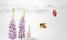 让你深刻感受友情的痛点的句子合集，让你瞬间心痛！