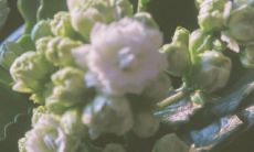 探讨分分合合被优美地咏诵在句子之中的艺术表现