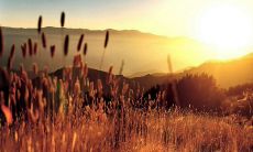 一系列美丽抒情的光线引发情感共鸣的句子