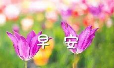 早晨问候短信：用简短的文字表达关怀和爱意，为亲友带来一天的暖心祝福