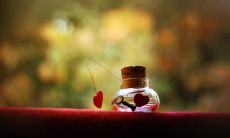 一些让人绝望对于爱情的句子