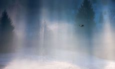 充满愉悦的文艺句子，令人欢欣鼓舞并充满幸福感