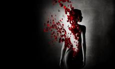 一件沉重且令人感伤的事，展现生命的成熟和脆弱性：寻找自我拯救的故事