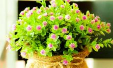 五月，你好啊，请否定再也不要让我伤心了——分享五月心情的感想和感受！