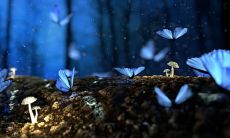 通过破解五月你好的语言谜题：一份详尽的五月你好说说句子大全