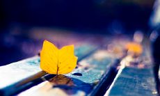 一些秋天的心情短语或表达来诉说你内心的感受啊