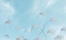 探寻美丽的灵魂——赞美诗歌中的诗句欣赏