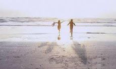 努力是成功的关键，没有什么是不努力就能天上掉馅饼的