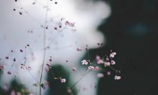 我对男友深感失望，决定要结束这段关系并离开他