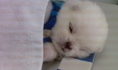 强大而鼓舞人心的句子，鼓励自己迎接挑战并实现自己的梦想