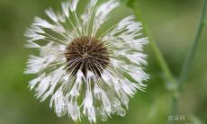 「探寻生命的真谛，汲取2022年最振奋人心的励志名言」