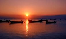 享受清晨的恬静美好：一系列绘声绘色的优美句子传递着祥和自然的氛围