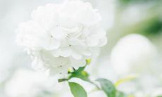 投射幸福光芒，让你每天都沉浸于愉悦氛围的发人深省语录