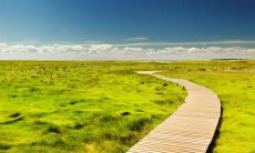 一位作家创作了多个表达深厚亲情的感人句子