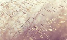 细数女友的十大优点，让你心生赞赏与感激的心情！