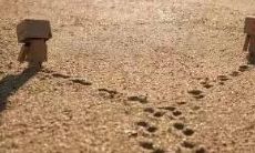 用于表达因为爱情的失望而产生的危机、焦虑、悲伤等情感的句子合集