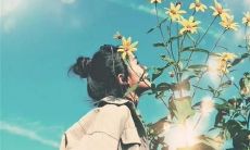 表述最无奈、最心痛情感的短语和句子