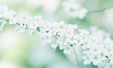 描写有着浓厚亲情的感人句子