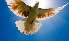 探究求知精神不断进取，善问不停追问——勤学好问的重要性